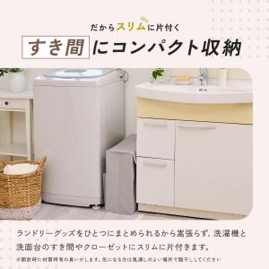 ハンガー収納ケース シンプル おしゃれ クロー...の詳細画像5