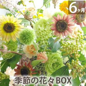 花 ギフト お花 定期便 花々BOX Dコース ...の商品画像