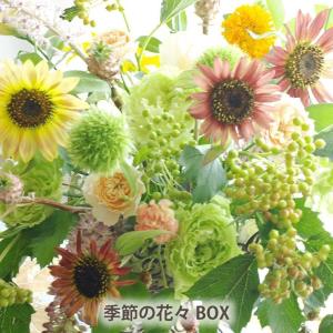 花 ギフト お花 定期便 花々BOX Dコース...の詳細画像1