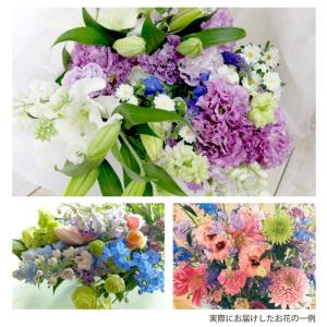 花 ギフト お花 定期便 花々BOX Dコース...の詳細画像3