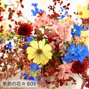 花 ギフト お花 定期便 花々BOX Dコース...の詳細画像4