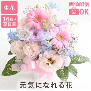 花 プレゼント あの人が元気になれそうな フラワーアレンジ AA 退院祝い 花束 快気祝い 生花 アレンジメント お見舞い お花 女性 ギフト 母 祖母