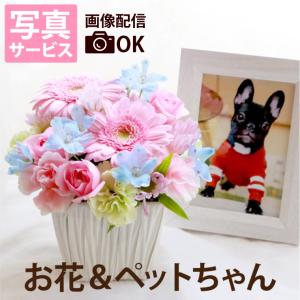 ペット お供え 花 供花 星 あの子 AA 生花...の商品画像