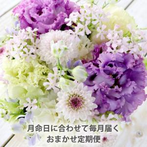 お供え 花 仏花 供花 定期便 月命日 空コー...の詳細画像1
