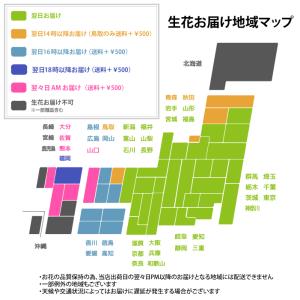お供え 花 仏花 供花 定期便 月命日 空コー...の詳細画像2