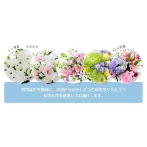 お供え 花 仏花 供花 定期便 月命日 空コー...の詳細画像3