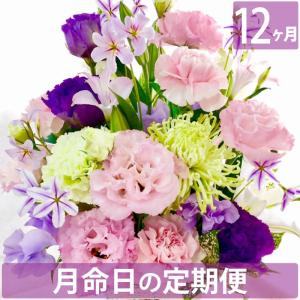お供え 花 供花 花束 定期便 月命日 星コース...の商品画像