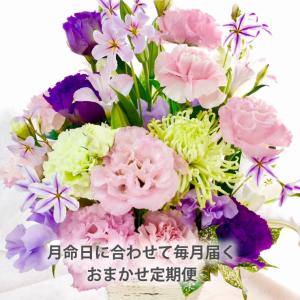 お供え 花 供花 花束 定期便 月命日 星コー...の詳細画像1