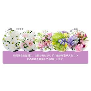 お供え 花 供花 花束 定期便 月命日 星コー...の詳細画像3