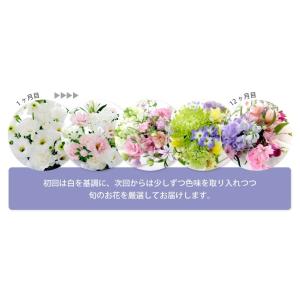 お供え 仏花 花束 花 定期便 月命日 虹コー...の詳細画像3