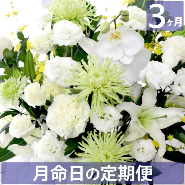 お供え 花 供花 仏花 定期便 月命日 虹コース3ヶ月 49日 仏壇 アレンジメント 季節の花 お彼...