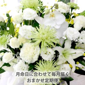 お供え 供花 仏花 花束 お悔やみ 花 定期便...の詳細画像1
