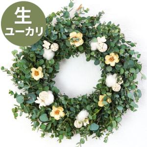 【廃番】クリスマス ユーカリフレッシュ リース ...の商品画像