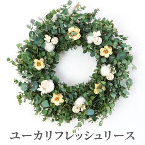 【廃番】クリスマス ユーカリフレッシュ リース...の詳細画像1