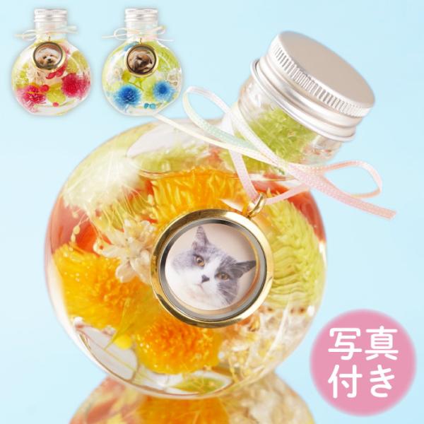 ペット お供え 花 ふわふわメモリー ハーバリウム 虹の橋 お悔やみ 仏花 御仏前 供花 お花  4...