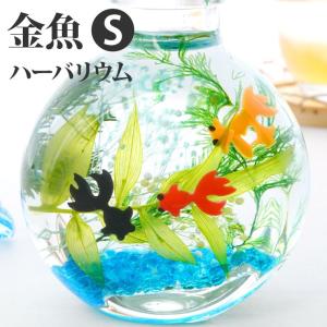 花 プレゼント ギフト 金魚ハーバリウムS おしゃれ