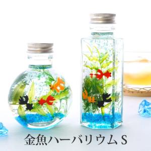 花 プレゼント ギフト 金魚ハーバリウム S ...の詳細画像1