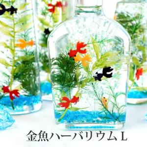 花 プレゼント 金魚 ハーバリウム L おしゃ...の詳細画像1