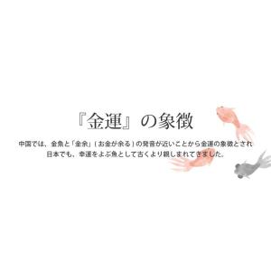 花 プレゼント 金魚 ハーバリウム L おしゃ...の詳細画像5