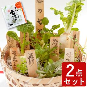 正月飾り 玄関 春の七草 寄せ植え 花 お歳暮 お年賀