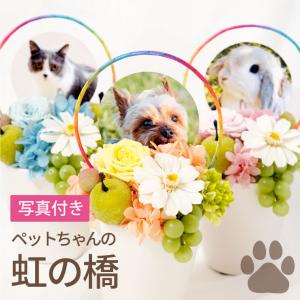 プリザーブドフラワー お供え 花 ペット 虹の橋  お悔やみ 枯れない花 お花 アレンジ 写真入り 犬 猫 仏花 仏壇用 供花 供養花 枕花 命日 お彼岸｜marika