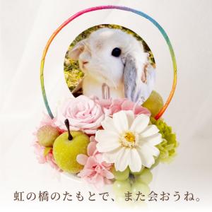 プリザーブドフラワー お供え 花 ペット 虹の...の詳細画像1