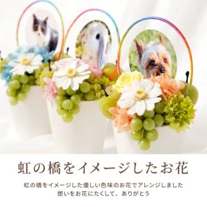 プリザーブドフラワー お供え 花 ペット 虹の...の詳細画像2