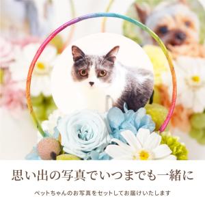プリザーブドフラワー お供え 花 ペット 虹の...の詳細画像3