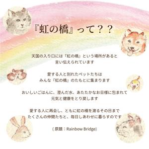 プリザーブドフラワー お供え 花 ペット 虹の...の詳細画像4