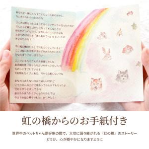 プリザーブドフラワー お供え 花 ペット 虹の...の詳細画像5