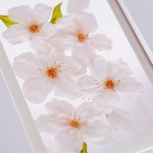 プリザーブドフラワー プレゼント 花 写真立て...の詳細画像3