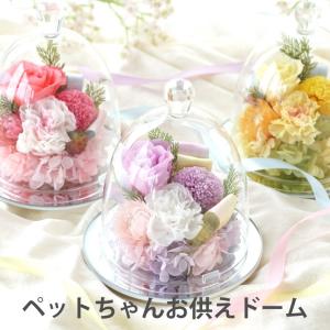 ペット お供え ガラスドーム 虹の橋 お悔やみ 花 プリザーブドフラワー
