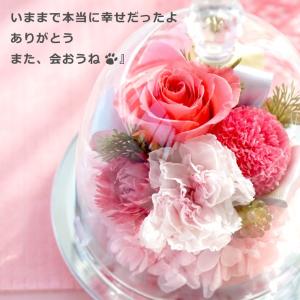 ペット お供え ガラスドーム 虹の橋 お悔やみ...の詳細画像5