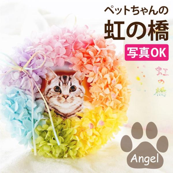 お供え ペット プリザーブドフラワー 花 写真 仏壇 仏具 仏花 虹の橋 リース エンジェル 犬 猫...