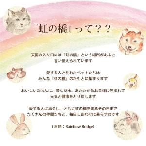 お供え ペット プリザーブドフラワー 花 写真...の詳細画像2