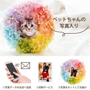 お供え ペット プリザーブドフラワー 花 写真...の詳細画像4