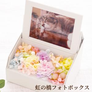 お供え 仏花 ペット 虹の橋 フォトボックス ...の詳細画像1