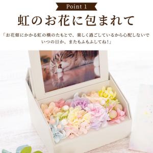 お供え 仏花 ペット 虹の橋 フォトボックス ...の詳細画像2