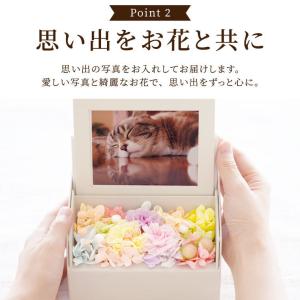 お供え 仏花 ペット 虹の橋 フォトボックス ...の詳細画像3
