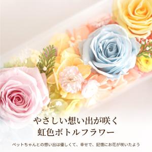 ペット お供え 花 虹の橋 想い出ボトル プリ...の詳細画像2