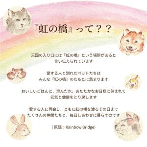 ペット お供え 花 虹の橋 想い出ボトル プリ...の詳細画像4
