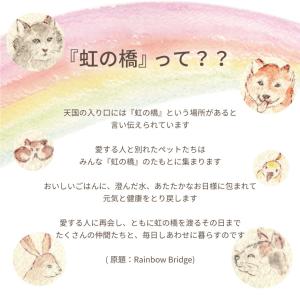 ペット お供え 虹の橋 ひまわりパルフェ プリ...の詳細画像4