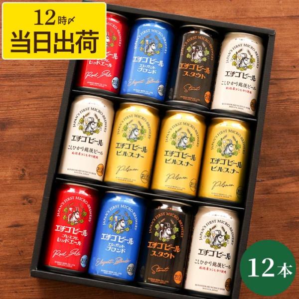 ビール ギフト エチゴビール 飲み比べ 12本セット コシヒカリ スタウト ピルスナー 越後 クラフ...