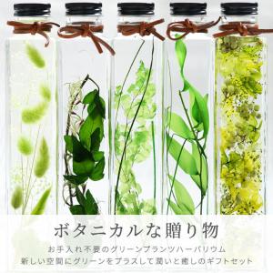 花 誕生日 プレゼント グリーン プランツ ハ...の詳細画像2