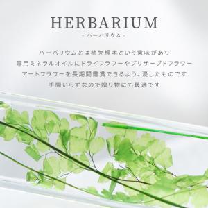 花 誕生日 プレゼント グリーン プランツ ハ...の詳細画像3