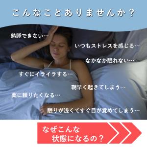ハーブティー 安眠 ティーバッグ お試し ノン...の詳細画像2