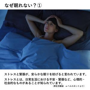 ハーブティー 安眠 ティーバッグ お試し ノン...の詳細画像3