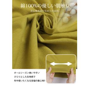 大きいサイズ レディース トップス 新色追加 ...の詳細画像5