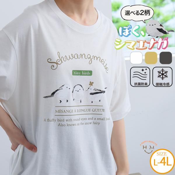 大きいサイズ レディース トップス ぼく、シマエナガ 選べる2デザイン 半袖 Tシャツ カットソー LL 3L 4L 半袖 夏 夏物 夏服 夏用