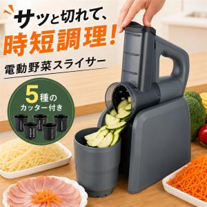 キャベックシェフ(キャベツ 千切り スライサー 機械 業務用 野菜